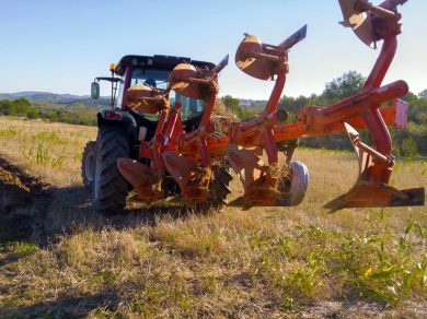 AGRICOLTURA E FORESTALE